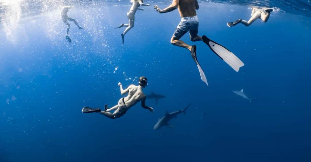 Meg 2: Głębia - Głębiny oceanu pełne niebezpieczeństw