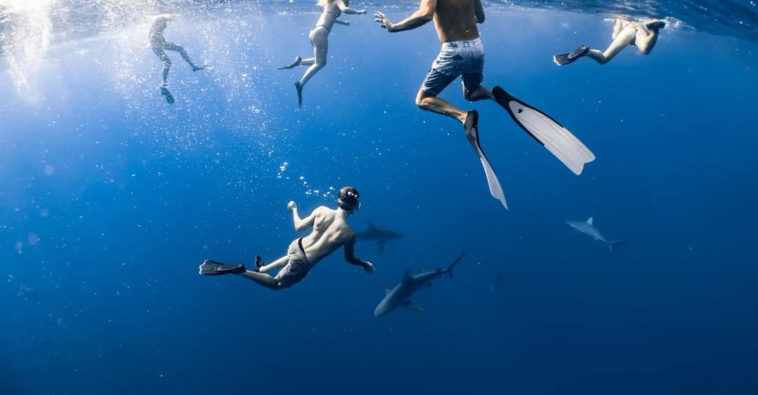 Meg 2: Głębia - Głębiny oceanu pełne niebezpieczeństw